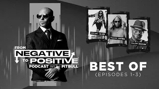 Pitbull - From Negative to Positive | Best Of (Episode 4)