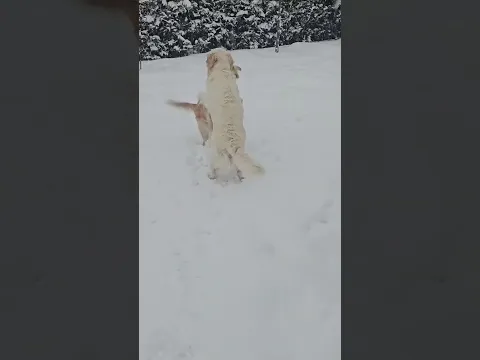 youtube-video-thumbnail