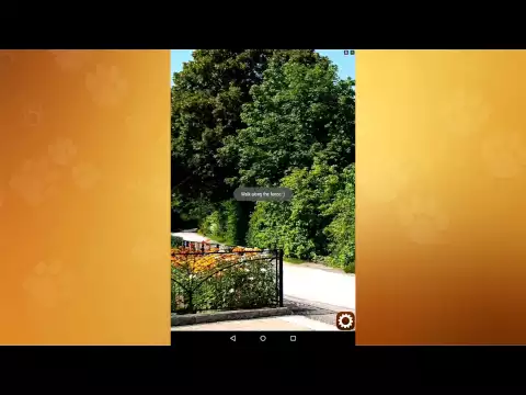 Video Find a cat 2