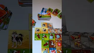 Zoomies Board Game 60 Second Review