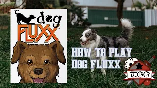 How to Play Dog Fluxx | Rules, Setup & Gameplay Tutorial
