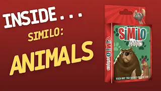 Inside…Similo: Animals (4K60fps)