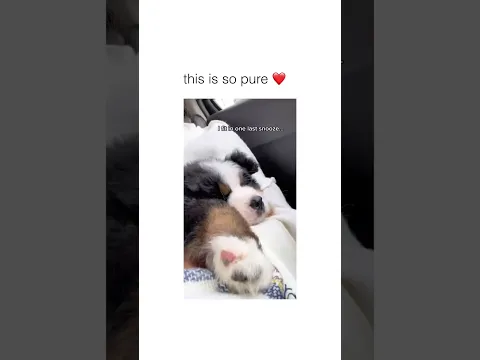 youtube-video-thumbnail