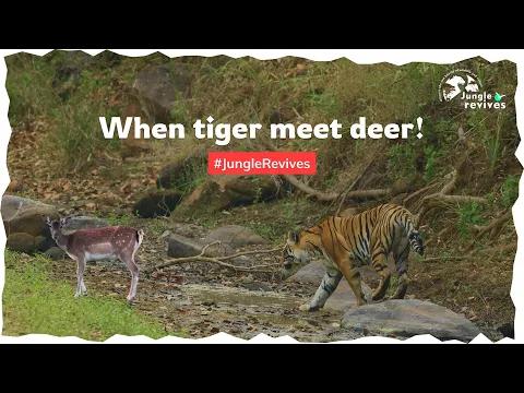 youtube-video-thumbnail