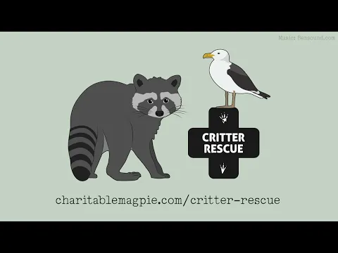 How to setup a Critter Rescue game