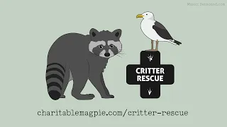 How to setup a Critter Rescue game