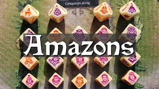 Intro to Amazons
