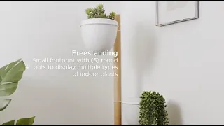 Umbra Floristand Planter product video.