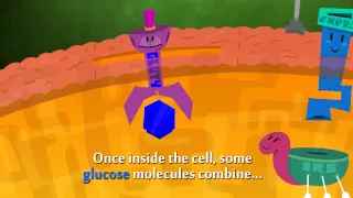 Type 2 Diabetes Type 2 Diabetes