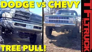 Extreme Landscaping: Pulling Down Trees with Classic Trucks! K10 Project Ep.19