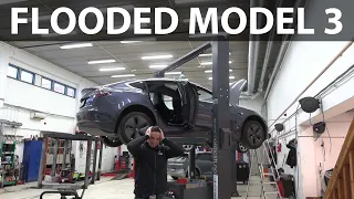 Flooded Model 3, e-Golf battery, broken Zoe and more