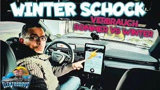 Elektroauto Schock im Winter. Stadtverbrauch Sommer vs Winter