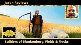 Jason's Board Game Diagnostics of Builders of Blankenburg: Fields and Flocks
