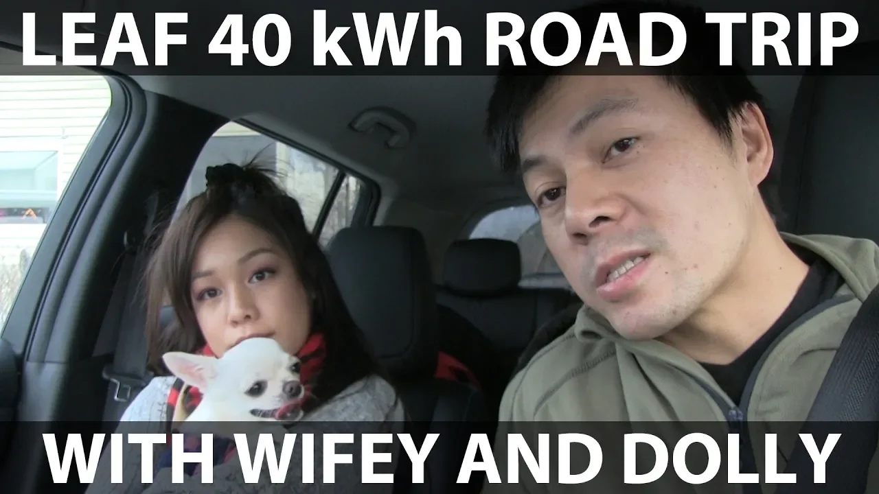 Road trip to Gothenburg in Leaf 40 kWh