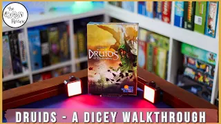 Druids of the Elements - A Dicey Walkthrough!