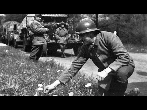 Western Front: Fall Gelb-Allies 1