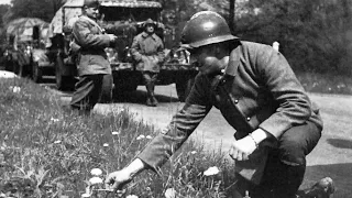 Western Front: Fall Gelb-Allies 1