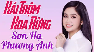 HÁI TRỘM HOA RỪNG