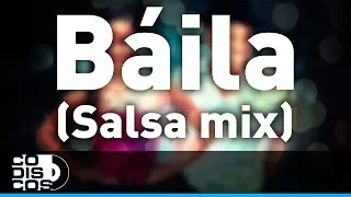 Baila, Profetas - Versión Salsa - Audio
