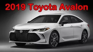 2019 Toyota Avalon: FIRST LOOK | Exterior, Interior & Running Footage