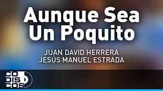Aunque Sea Un Poquito, Juan David Herrera Y Jesus Manuel Estrada - Audio