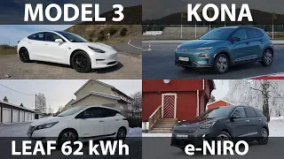 Leaf 3.zero e+, Model 3, Kona or e-Niro?