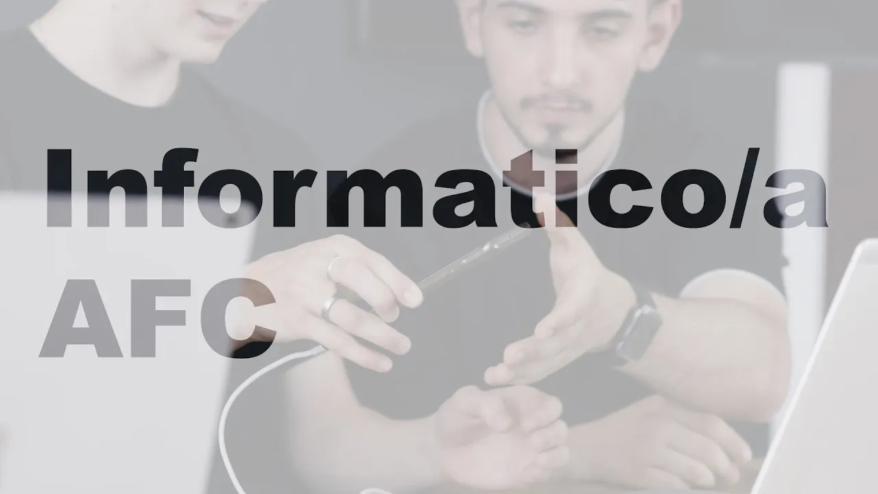 Informatico/a AFC