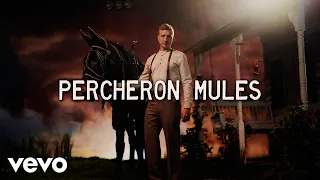Tyler Childers - Percheron Mules (Lyric Video)