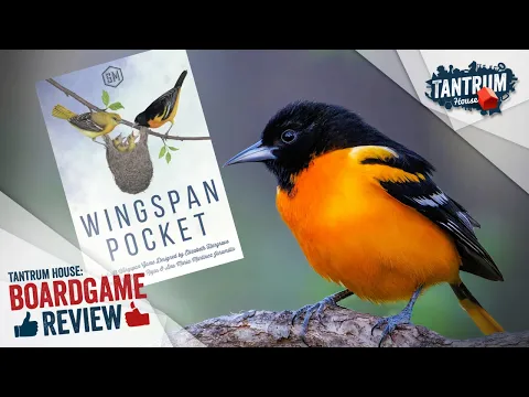 Wingspan Pocket Review