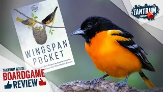 Wingspan Pocket Review