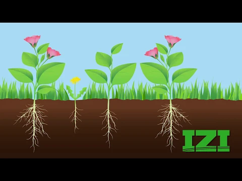 Capina Eletrica Mata Mato 220v ZASSO