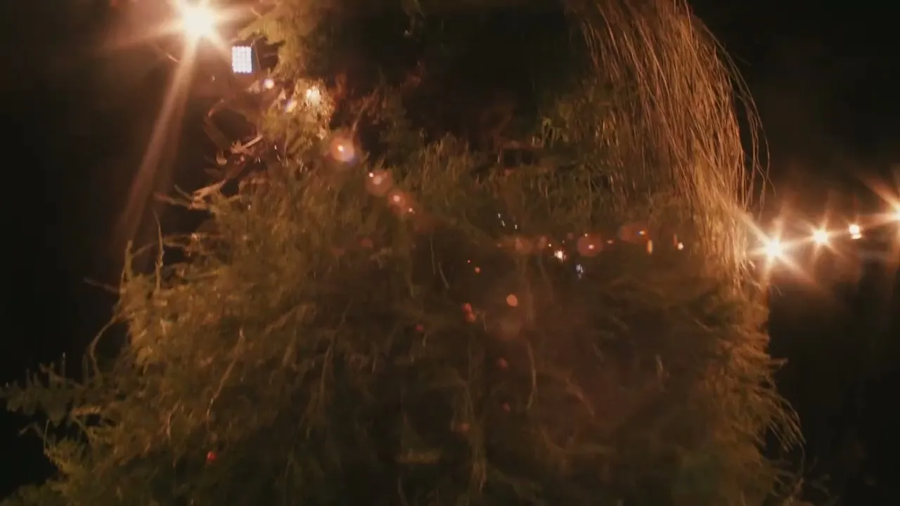Video de Luz Ballestero