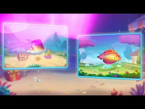 Video dari Akuarium Soliter