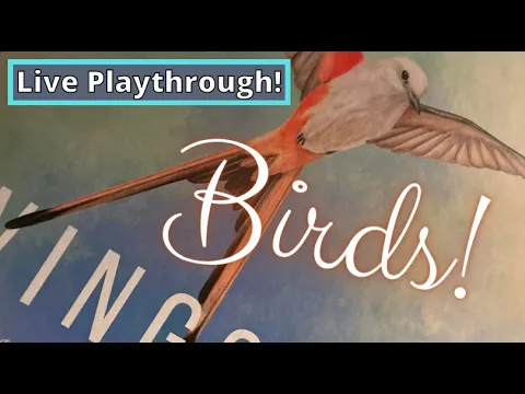 Wingspan Solo: Putting the A+ in Aviary! (Expert)