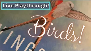 Wingspan Solo: Putting the A+ in Aviary! (Expert)