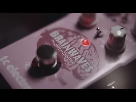 Product video thumbnail for TC Electronic Brandwaves Pitch Shifter Guitar Pedal