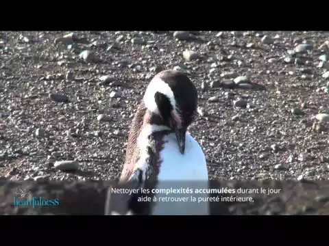 youtube-video-thumbnail