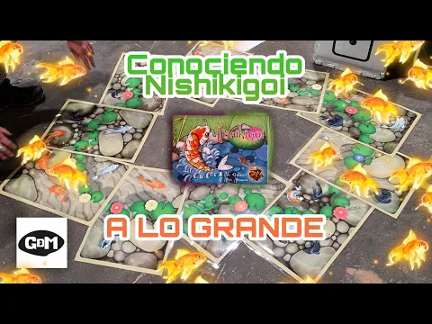 Nishikigoi. Conociendo el juego a lo grande