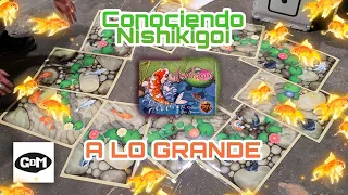 Nishikigoi. Conociendo el juego a lo grande