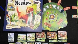 DGA Plays Board Games: Meadow