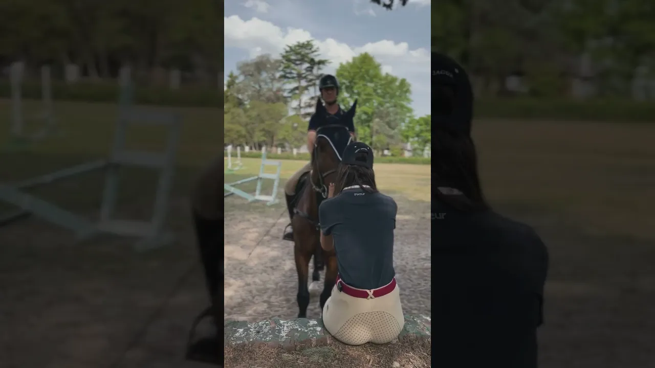 Video de Equistreech