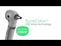 Welch Allyn Pocket PLUS LED Otoscope - Mulberry video