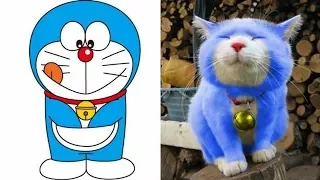 Doraemon Characters In Reallife (Japanese Theme) Doraemon Characters In Reallife (Japanese Theme)