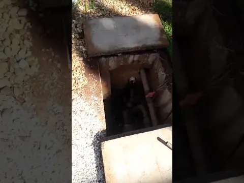 youtube-video-thumbnail