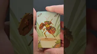 Antscape - Jolly Dutch - Unboxing