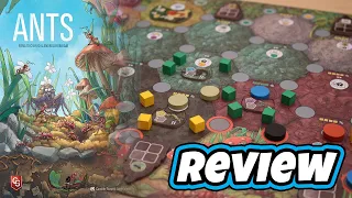 ANTS | Review