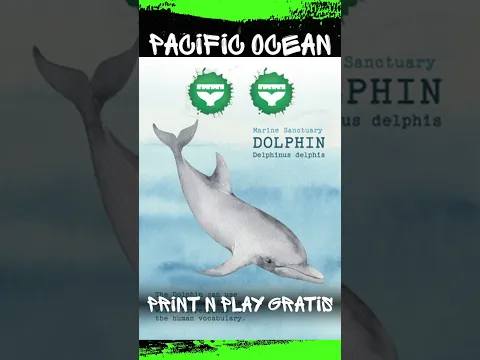 Pacific Ocean il gioco di carte GRATIS