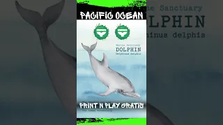 Pacific Ocean il gioco di carte GRATIS