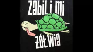 Zabili Mi Żółwia - Wiosna