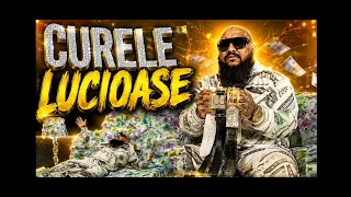 George Music \u0026 Curele Lucioase | oficial Audio.ft Dani Mocanu